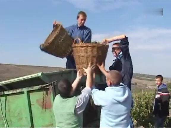 罗马尼亚湖西酒庄简介