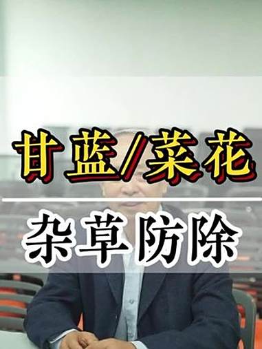 甘蓝西蓝花杂草防除;甘蓝种植,杂草影响产量,人工除草成本太高,选对合适的除草剂非常重要;甘