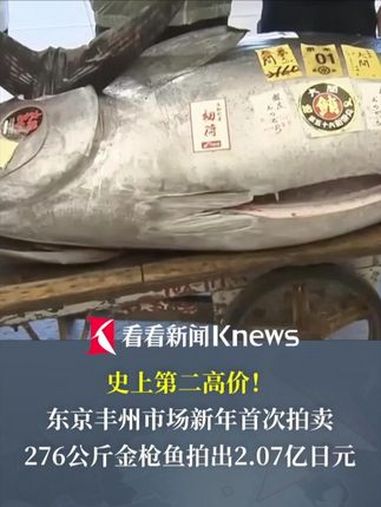 史上第二高价!276公斤金枪鱼拍出2.07亿日元 日本