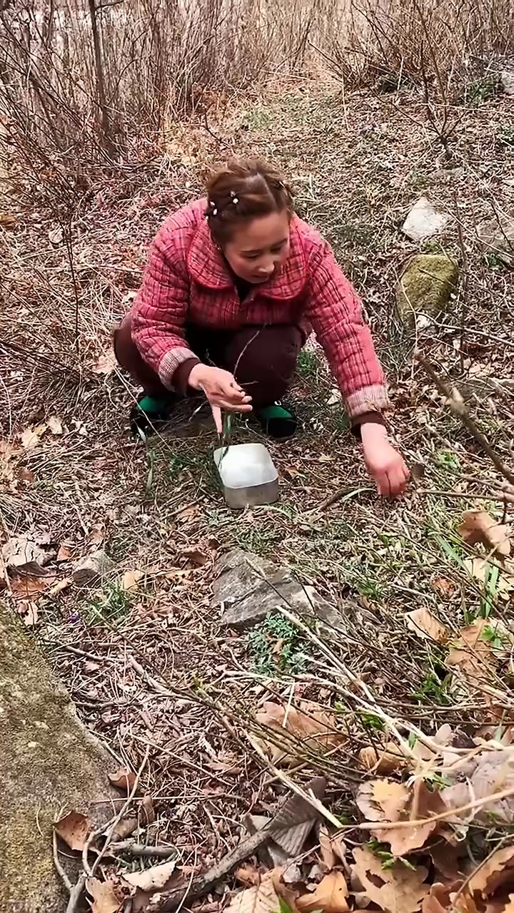 带大家看看长在山上的韭菜,炒山韭菜。