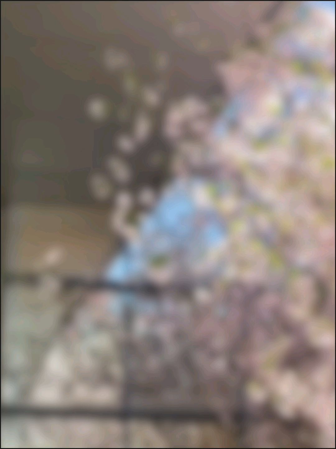 伪装学渣
