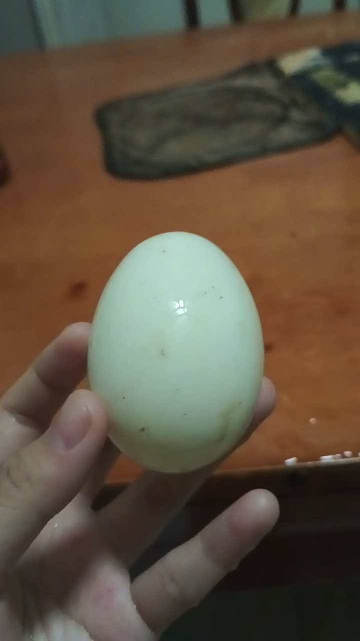 想起了小时候我用过鸡蛋或者鸭蛋来画画