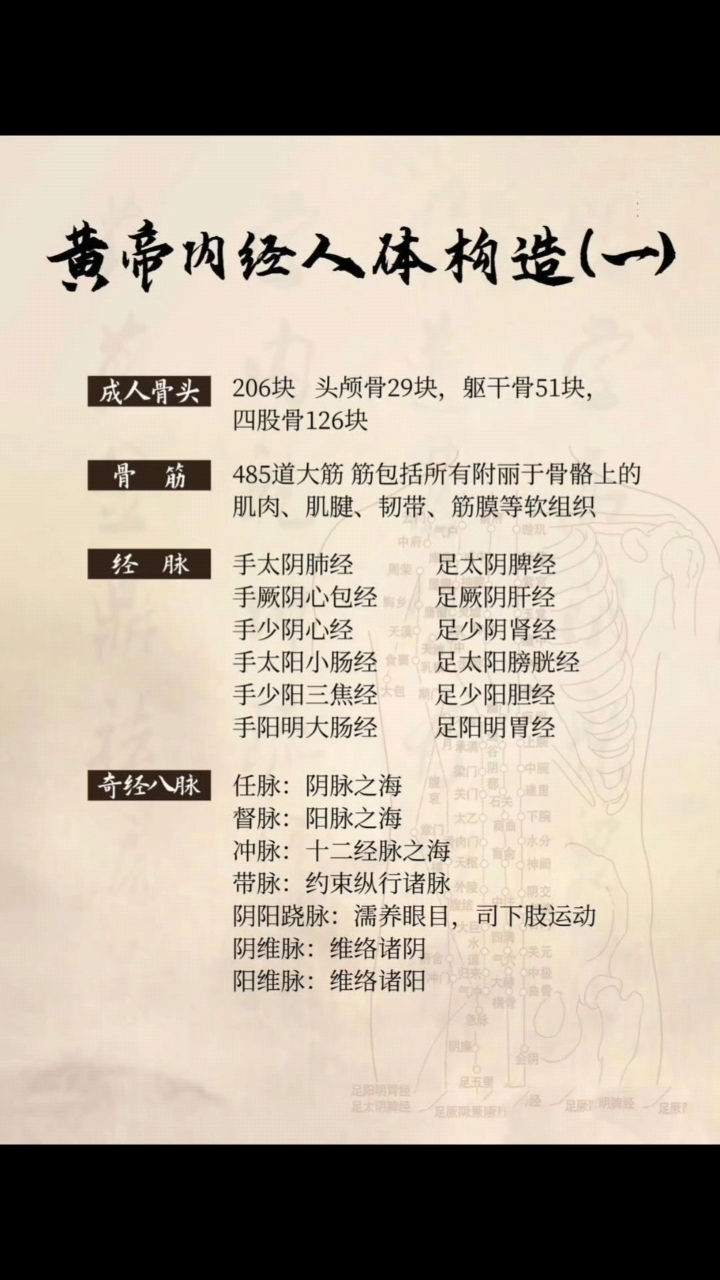 你的身体构造,你了解多少? 