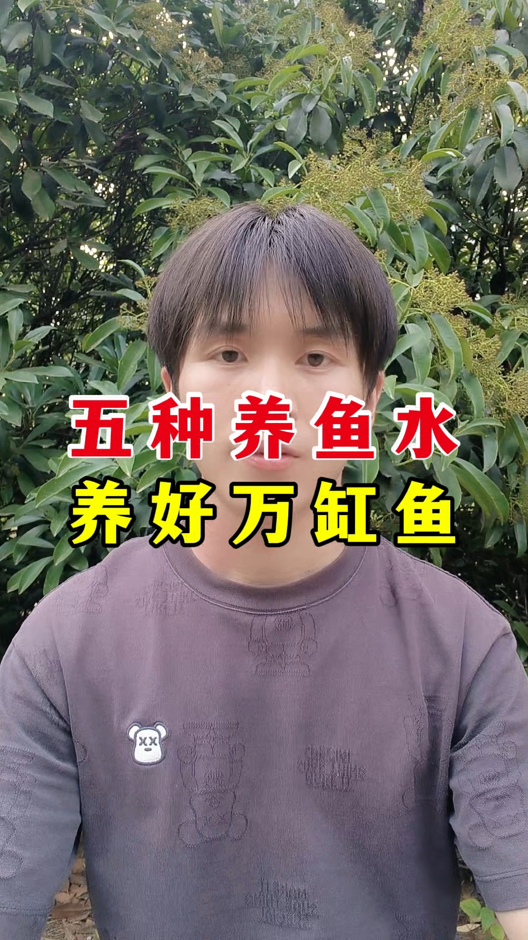 五种养鱼水 养好万缸鱼