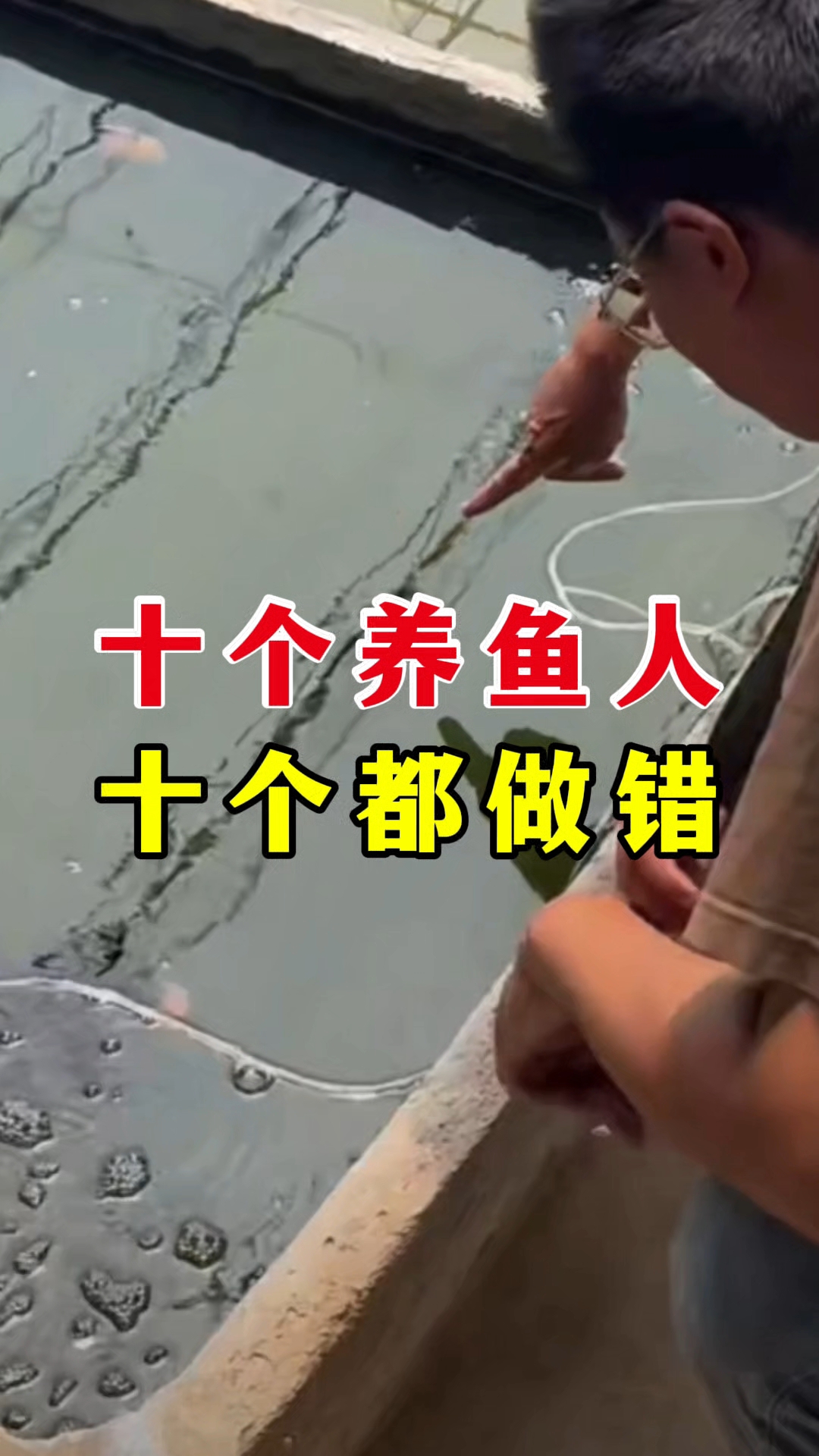 十个养鱼人 十个都做错