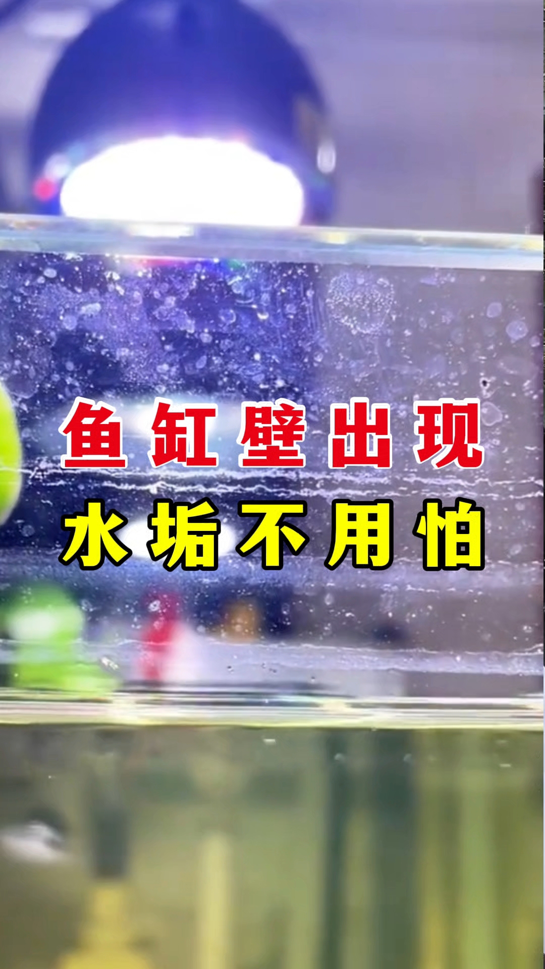 鱼缸壁出现水垢不用怕