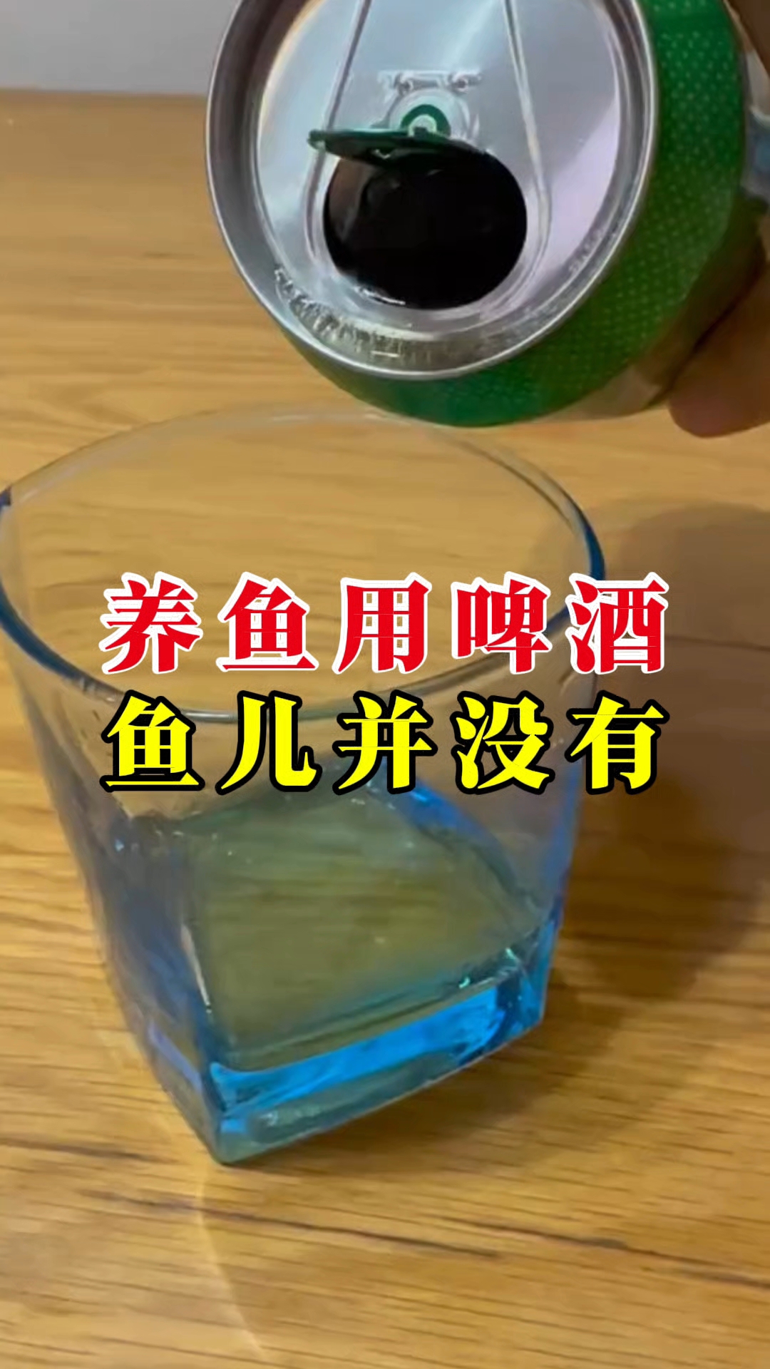 养鱼用啤酒 鱼儿并没有