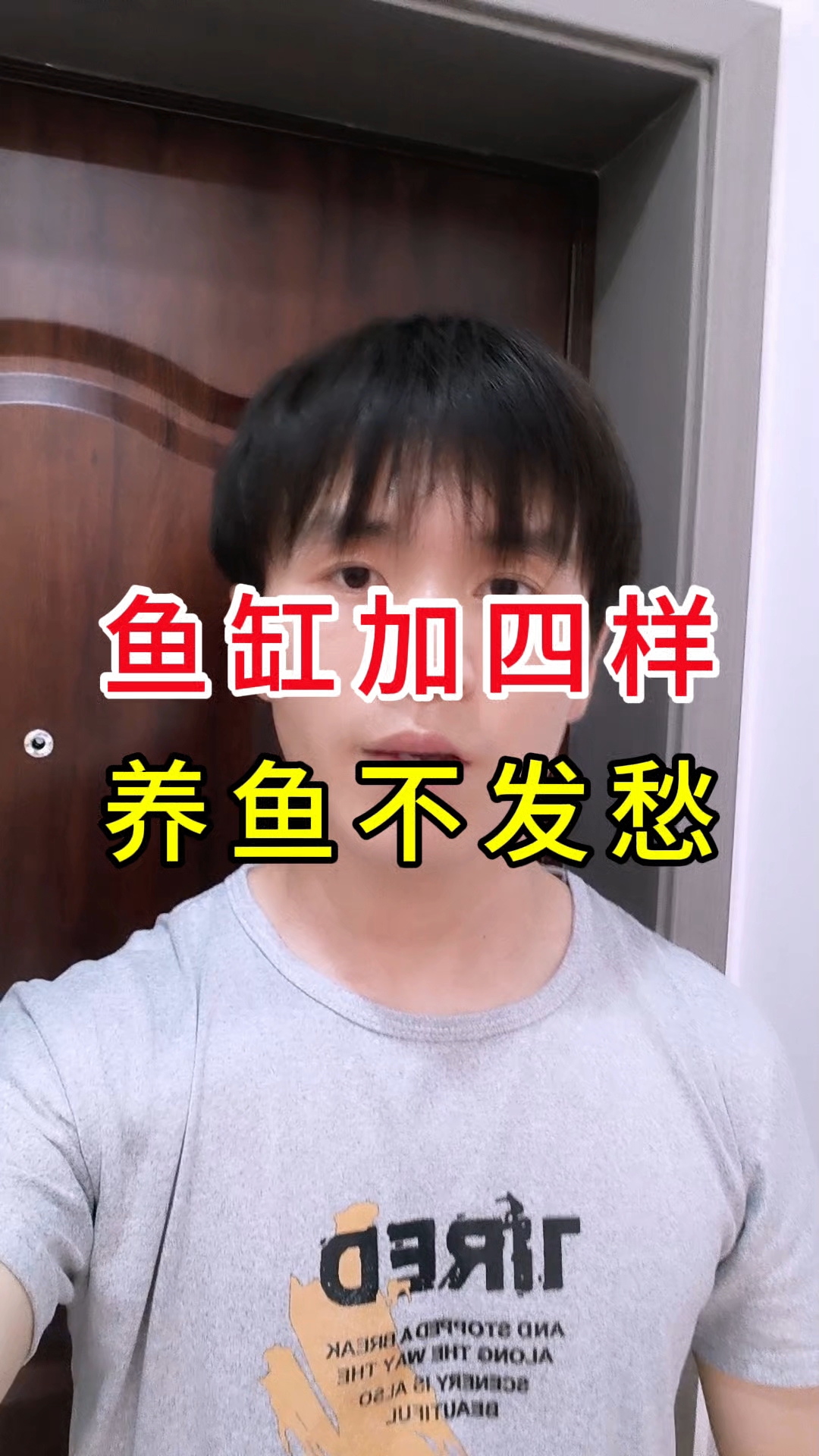 鱼缸加四样 养鱼不发愁