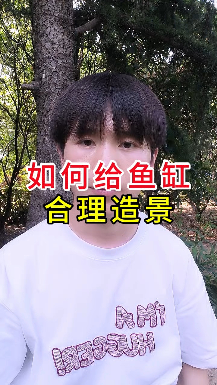 如何给鱼缸合理造景