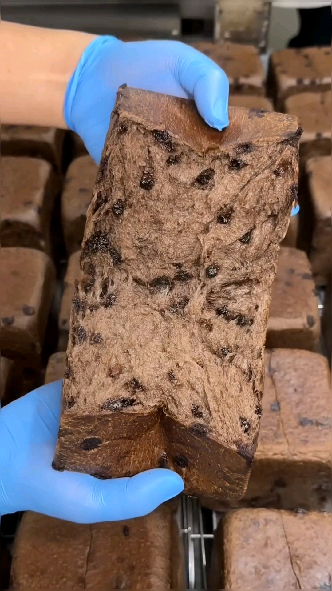 黑巧克力蛋糕制作过程