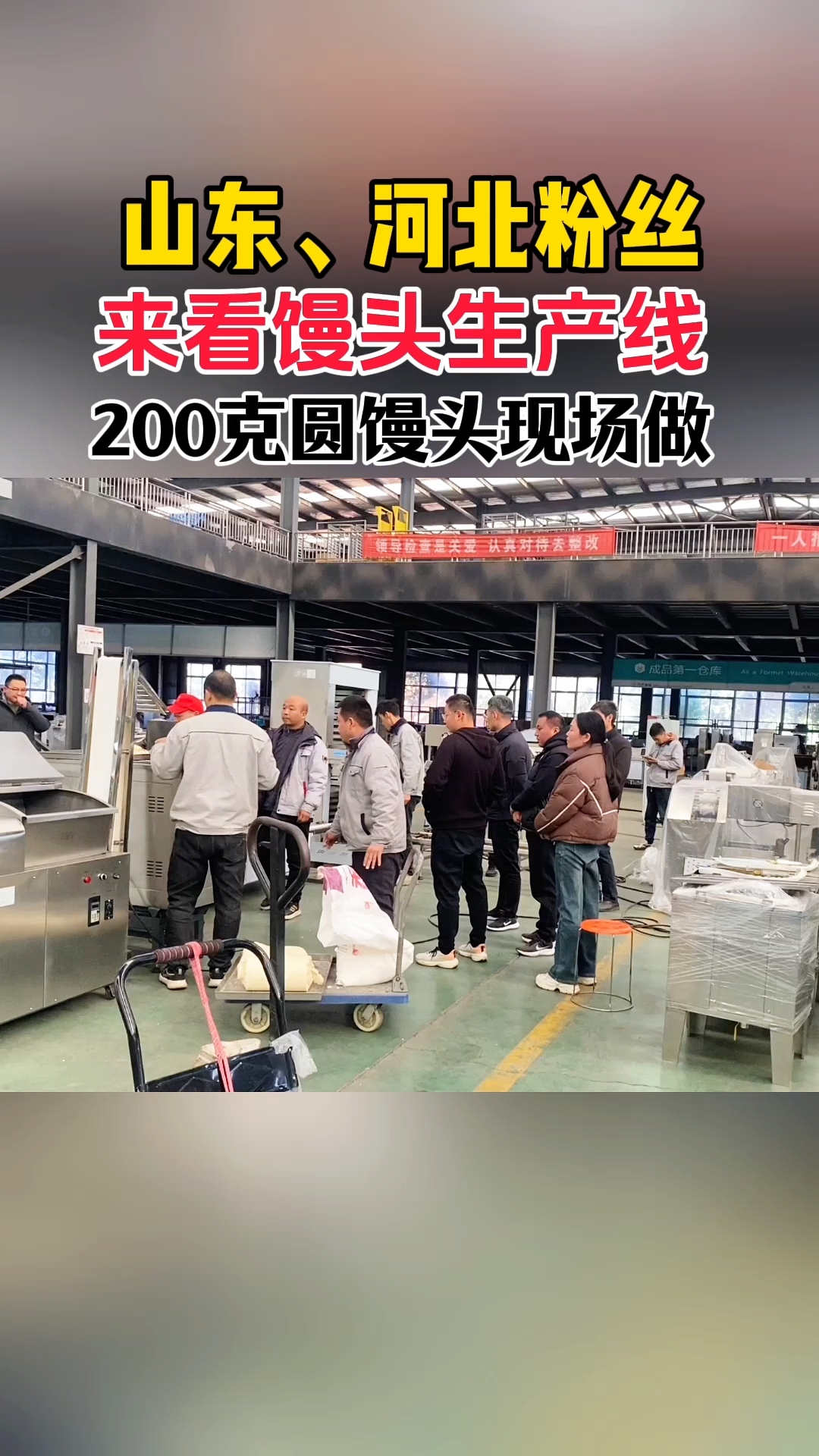 馒头机厂家#车间试机 200克圆馒头现场做