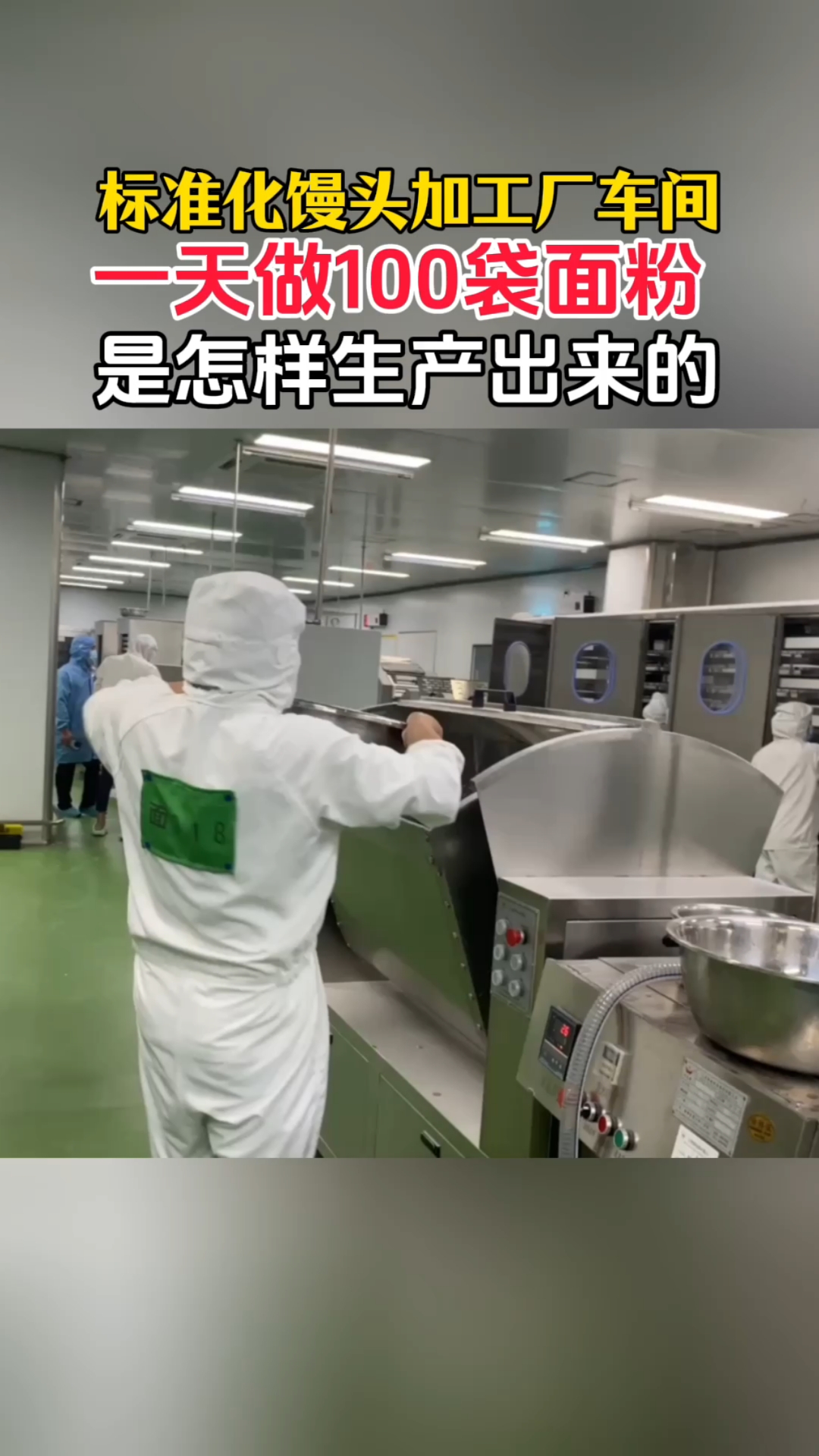 标准化馒头加工车间做老面馒头全过程