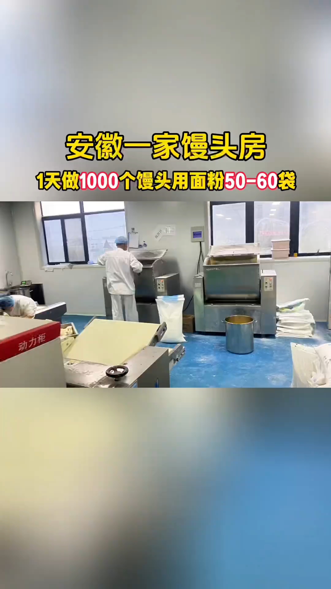 实拍安徽馒头房做馒头真实场景