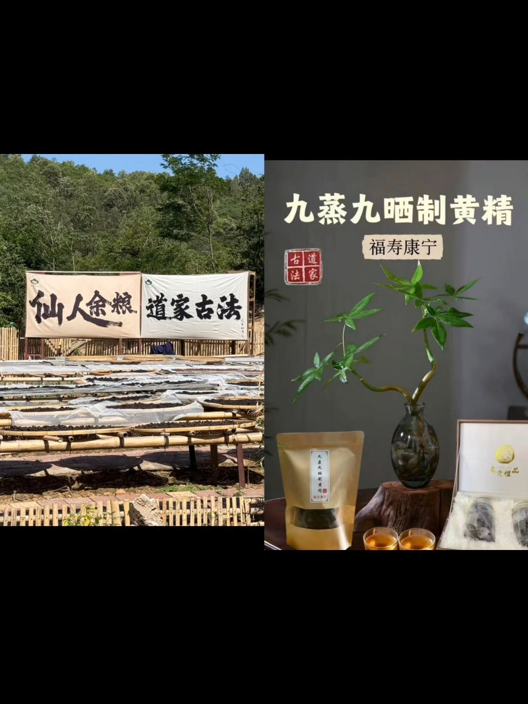 武当.西园之--喝下午茶,品鸡头精