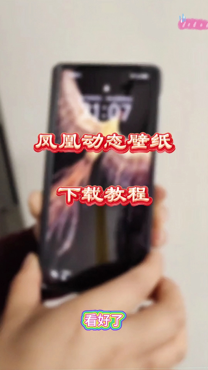 凤凰展翼动态壁纸下载,凤凰动态壁纸下载教程,#凤凰动态壁纸