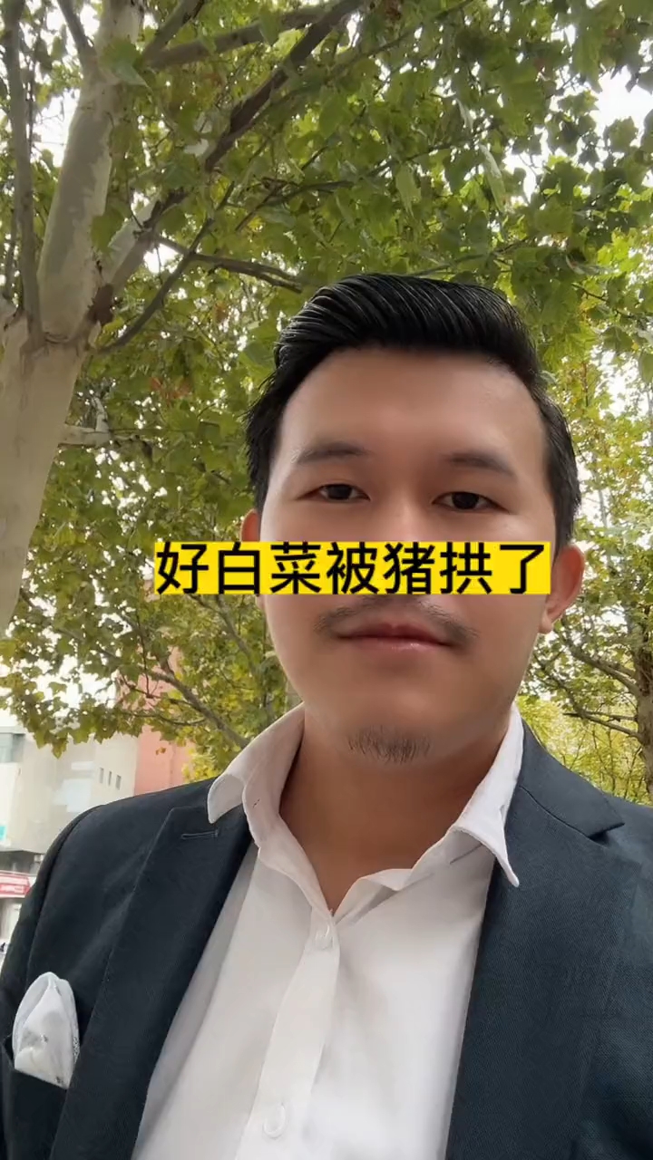 为什么好白菜容易被猪拱