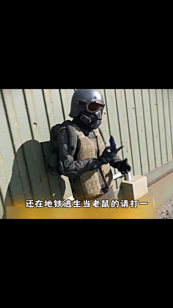 再也不用当老鼠了