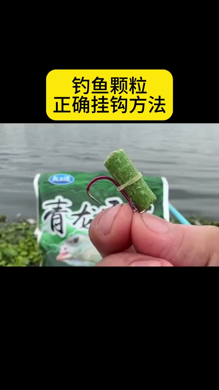 钓鱼颗粒正确挂钩方法