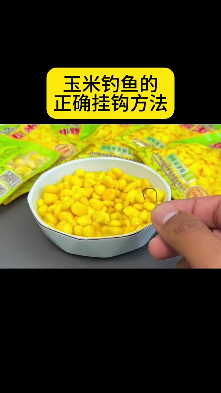 玉米钓鱼的正确挂钩方法