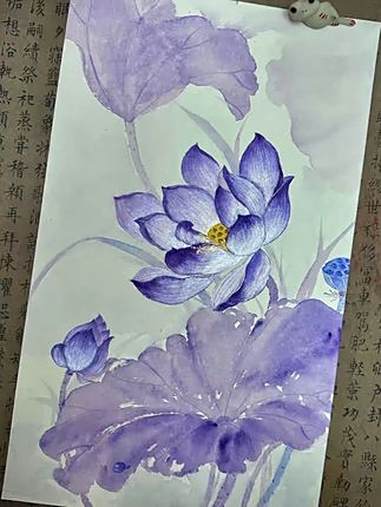 听说你偏爱紫色的荷花?紫色 荷花 这是我的非遗献礼 百young非遗计划 国画