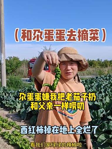 和尕蛋蛋去摘菜 一枝枝的西红柿、辣椒、茄子挂满了枝头,看的真有食欲,和尕蛋蛋来到小菜园采摘