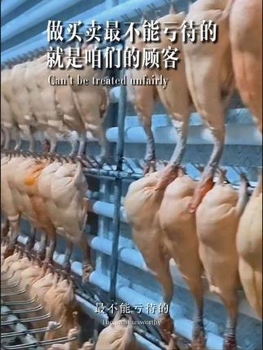 做买卖最不能亏待的就是客户 法式鹅肝 朗德鹅养殖 霍邱鹅肝 安徽特产鹅肝