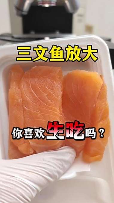 三文鱼放大 三文鱼 刺身 寄生虫 显微镜下的世界