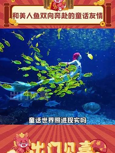 童话人鱼天团空降西安！这个夏天必冲西安华夏文旅海洋公园！西安华夏文旅海洋公园 被人类幼崽治