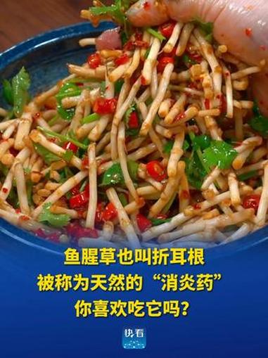 鱼腥草也叫折耳根。被称为天然的“消炎药”，你喜欢吃它吗？#快看健康