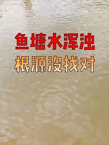 老养殖户支招:鱼塘水浑先排查这3个原因,轻松解决!养鱼人 养鱼 水产养殖技术 水产