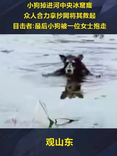 9.9到手35包,满满一大箱 蛋黄酥 雪媚娘蛋黄酥 好吃到停不下来 妈呀太好吃了 大人小孩