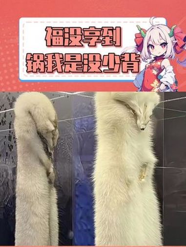 纸醉金迷的时候不带我,物种濒危了你倒是知道带上我了 动物 环境 公益广告 内容启发搜索