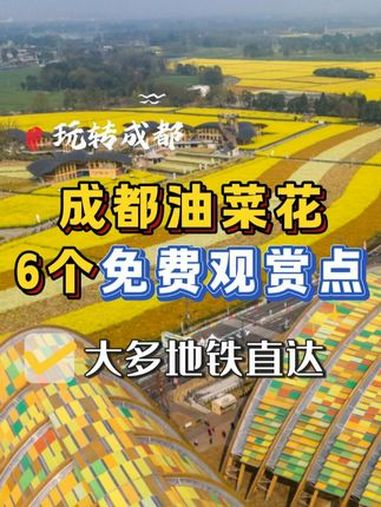 成都油菜花6个免费观赏点 成都油菜花海盛开!这6个地方免费观赏,大部分地铁直达,赶紧码住周