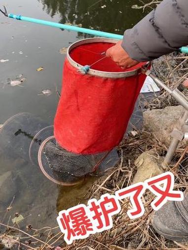 这是真实野钓,不是养鱼塘 户外钓鱼 钓鱼 钓鲫鱼 鱼获满满 野钓