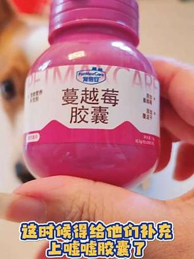 如果毛孩子嘘嘘困难尿频尿少等,快给他试试看蔓越莓胶囊,猫咪狗 狗坚持吃效果杠杠滴!萌宠好物