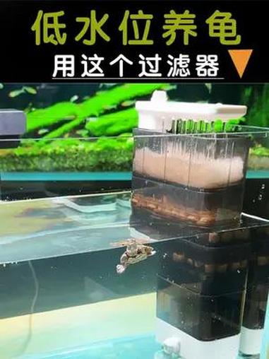 低水位养龟,用什么过滤器!既静音又能培菌 龟缸 龟缸过滤 鱼缸过滤 养龟 水族