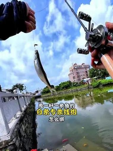 路亚新手必学的白条专杀线组 瓜子亮片费蝇钩绑法