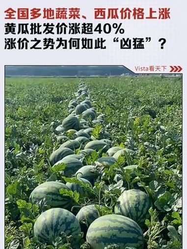 全国多地蔬菜、西瓜价格上涨,黄瓜批发价涨超40%,涨价之势为何如此“凶猛”?