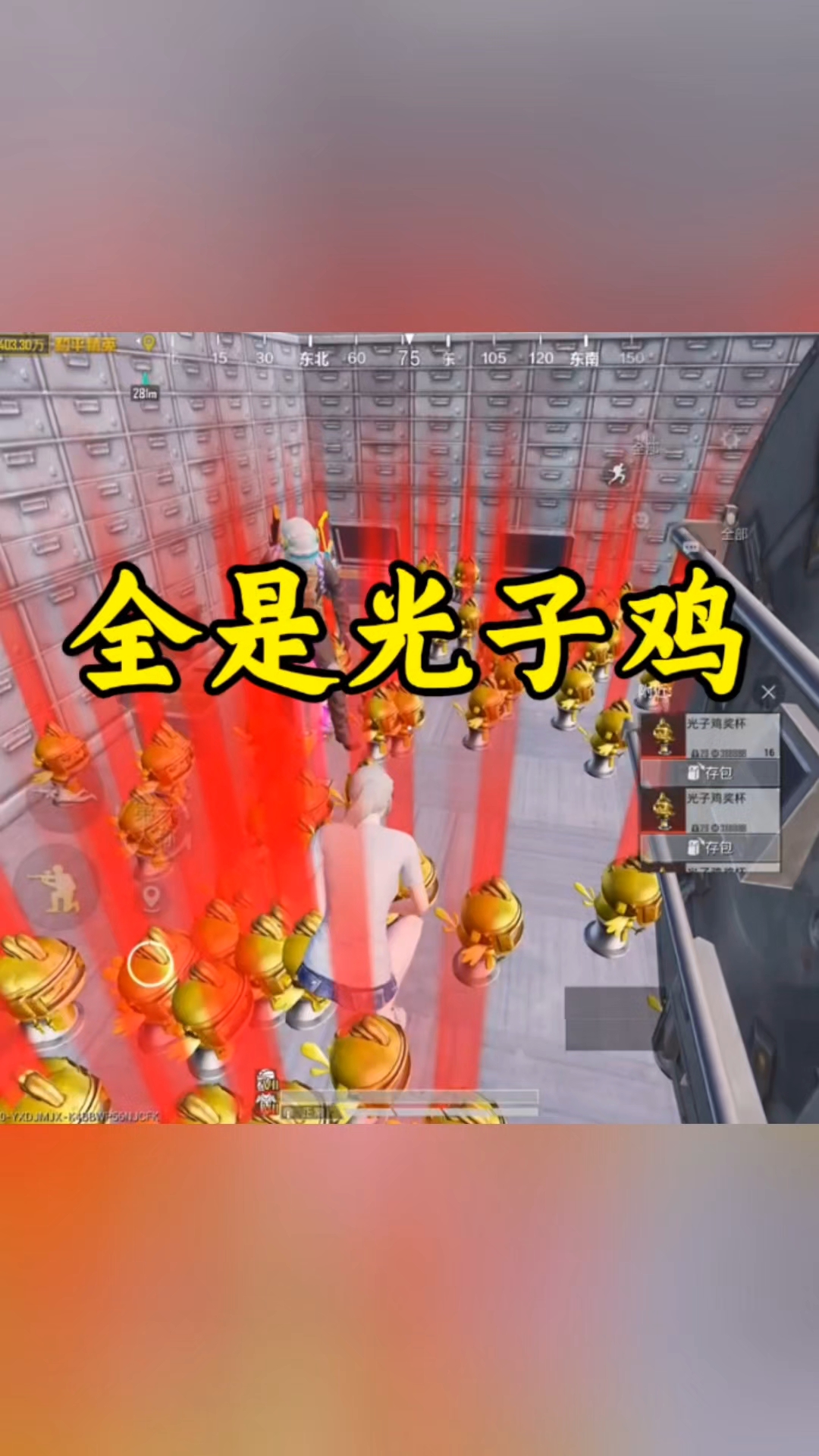 你见过这么多光子鸡嘛