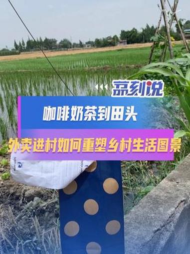 咖啡奶茶到田头:外卖进村如何重塑乡村生活图景 近日,“外卖进村”成为社交平台热议焦点。从广