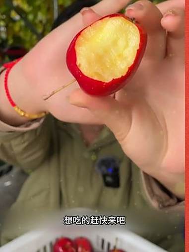 鸡心果 新鲜应季水果 优质农产品 比苹果还要甜脆好吃的东北鸡心果，果农现摘现发！非常新鲜好