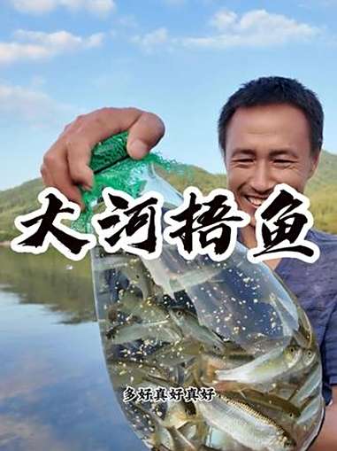 大河捂鱼 今天这捂鱼实在是太过瘾了 捂鱼 抓鱼摸虾 星乡村星农人 农村生活 三农