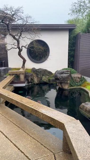偷得浮生半日闲,窗前有鱼,家中有暖,足矣。最好的风水是心境,一池锦鲤,治愈所有焦虑。#庭院