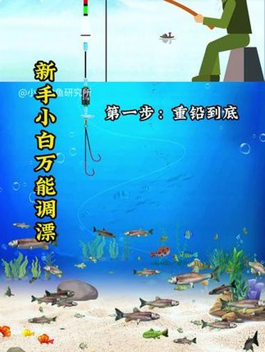 新手小白也能轻松掌握的万能调漂方法 钓鱼 调漂 调漂技巧 钓鱼技巧 钓鱼知识