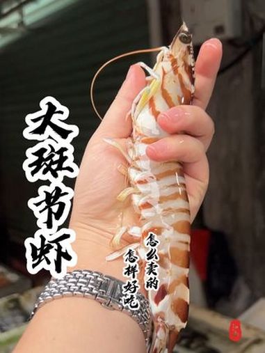同学们,这个虾你们那儿叫什么名字?一斤140贵不贵?内容启发搜索 省饭课代表 学会这些再也