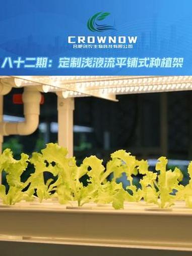 浅液流平铺式种植架 阳台只有3㎡?照样实现蔬菜自由!→ 840个种植孔,单位面积效率翻倍→