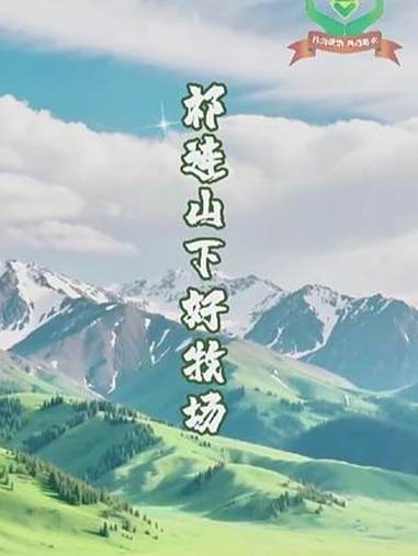 哥哥姐姐们 我在祁连山下养牦牛,今天带着牦牛肉出道啦!青海美食推荐官 牦牛肉