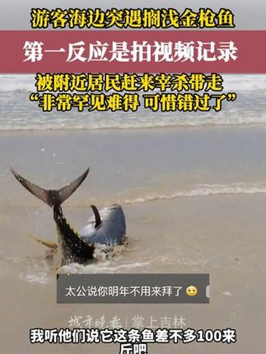 广东阳江。湖南来的游客突遇一条搁浅的肥大金枪鱼,他第一时间是拍摄记录下来。网友:大几千块就