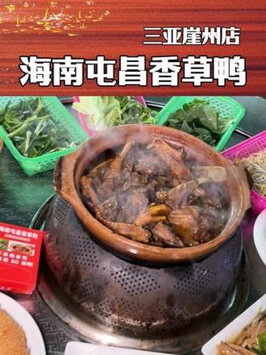 五一美食推荐 到三亚旅游,吃好吃的海南屯昌香草鸭#海南非遗美食 #同城好店推荐 #寻味地方