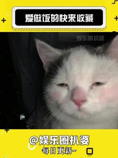 爱做饭的快来收藏,炒菜神曲!音乐 干货分享